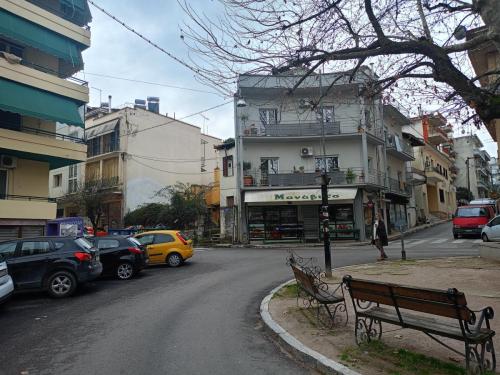IMG20250216134224